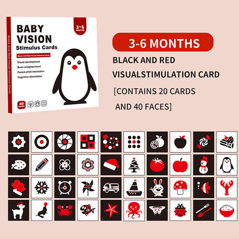 Smart Sprout Baby Visual Stimulation Cards for Ages 0-36 months Black/White & Colored Flash Cards