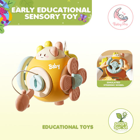 Smart Sprout 6in1 Multi-Functional Hexahedron Busy Ball Toy Sensory Training Educational Toy