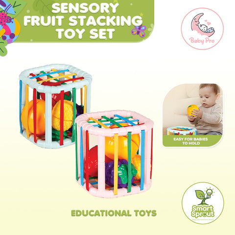 Smart Sprout Baby Fruit Sesele Toy Set Fruit Blocks Stacking Sensory Educational Toys