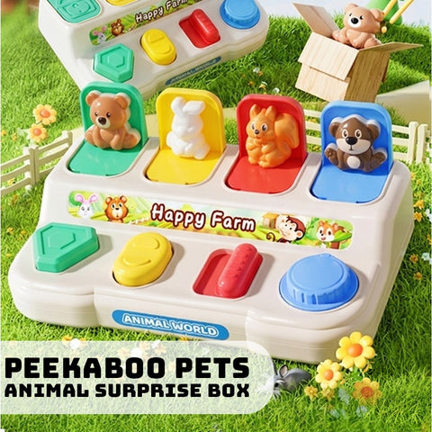 Smart Sprout Peek-a-Boo Early Educational Toy Pop-Up Animal Design Pop And Learn